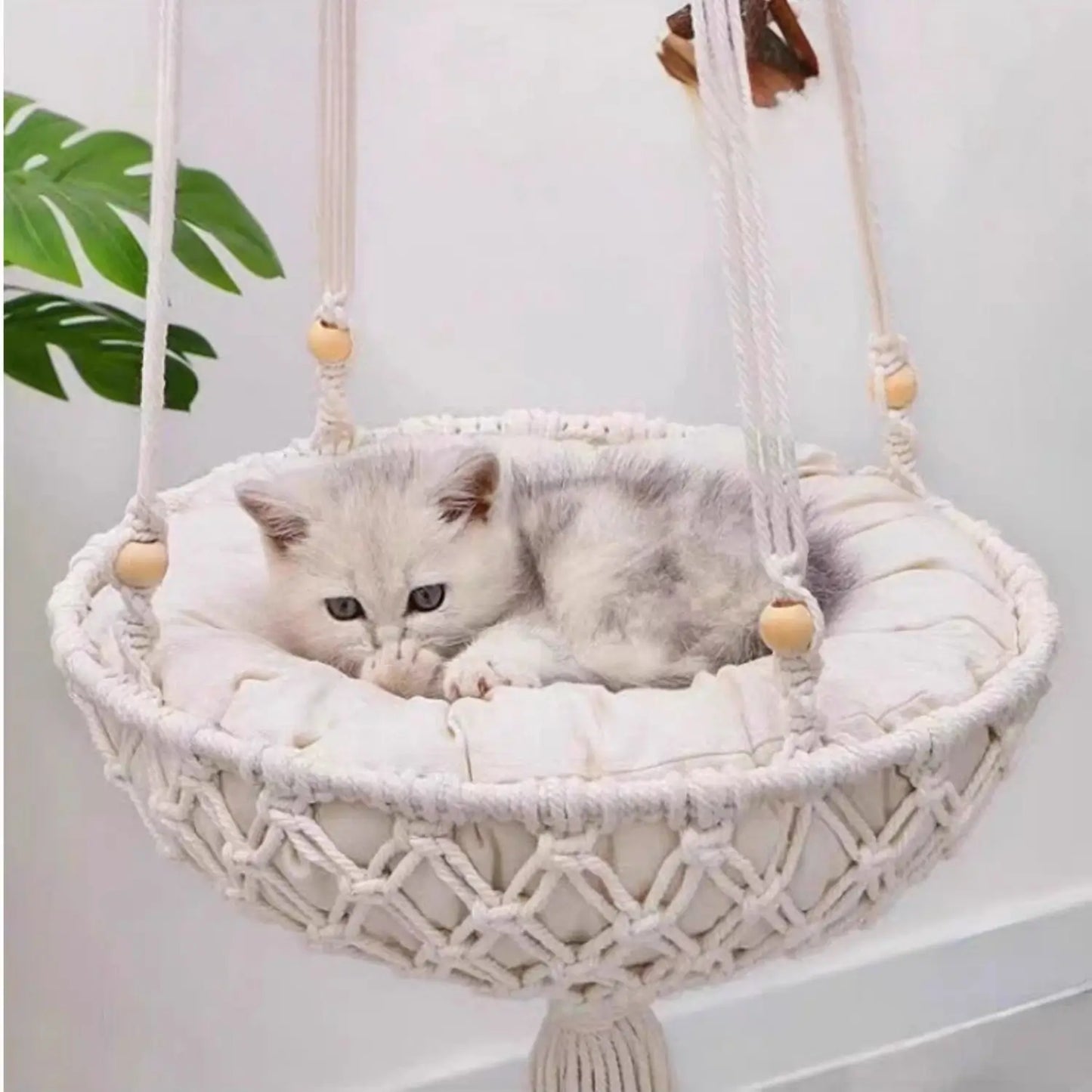 Katten Hangmand Touw | Comfortabele Katoenen Schommel