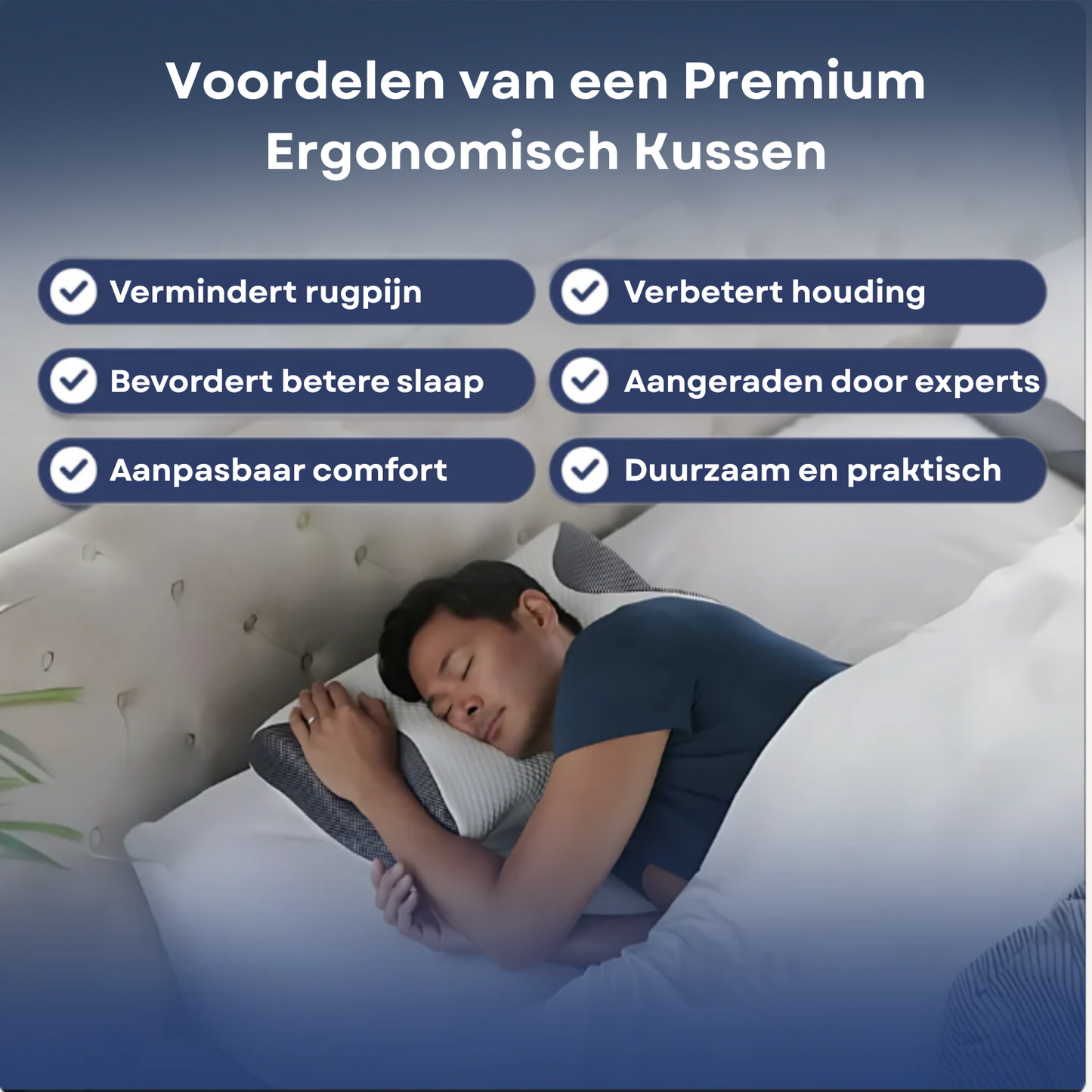 droomsteun